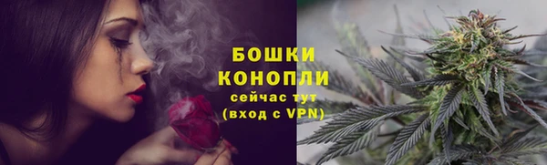 крисы Новосибирск