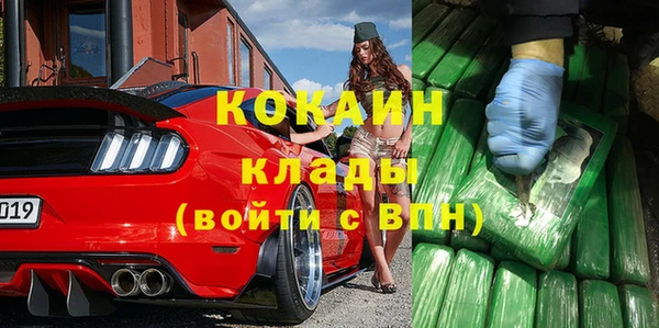 дмт Кукмор