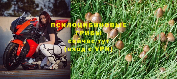прущая мука Кулебаки