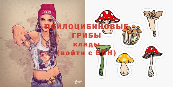 дмт Кукмор