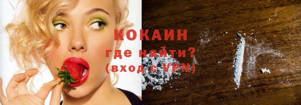 дмт Кукмор