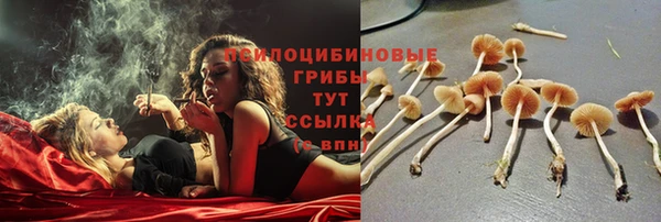 прущая мука Кулебаки