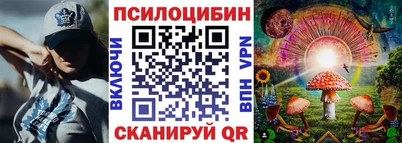 Псилоцибиновые грибы прущие грибы  кракен зеркало  Норильск  наркота 