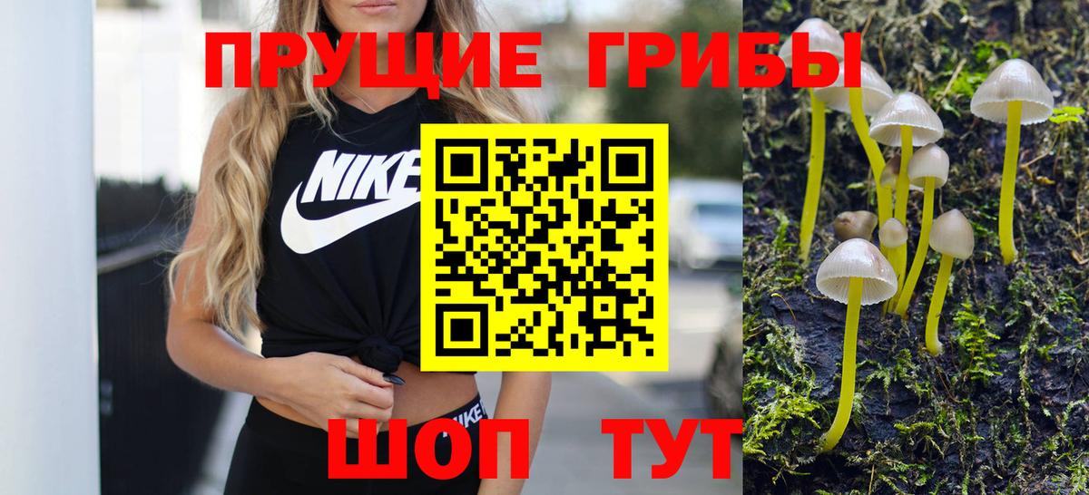 купить наркоту  Вход с VPN  Норильск  Галлюциногенные грибы Psilocybe 
